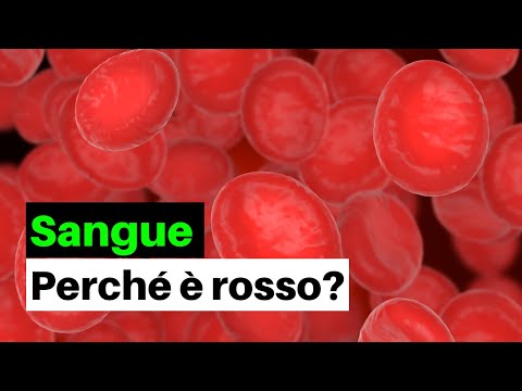 Perché i globuli rossi sono rossi?