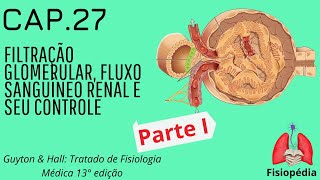 Cap.27: Filtração Glomerular, Fluxo sanguíneo renal e seu controle (Parte I)