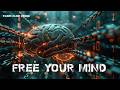 Free your mind! Lag Ba'Omer - Breaking free from all limitations! POWERFUL message!