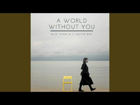 A World Without You