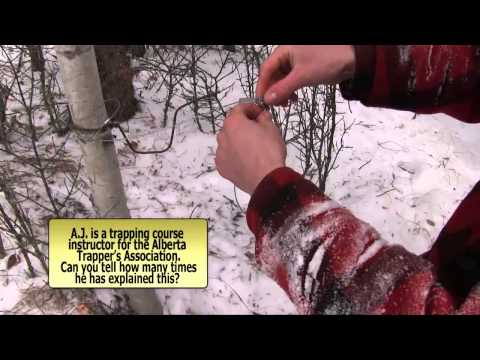 Trapping Inc Ep5 S1 Lynx Snare Pens