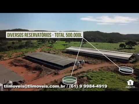 FAZENDA LAPA - TL IMÓVEIS