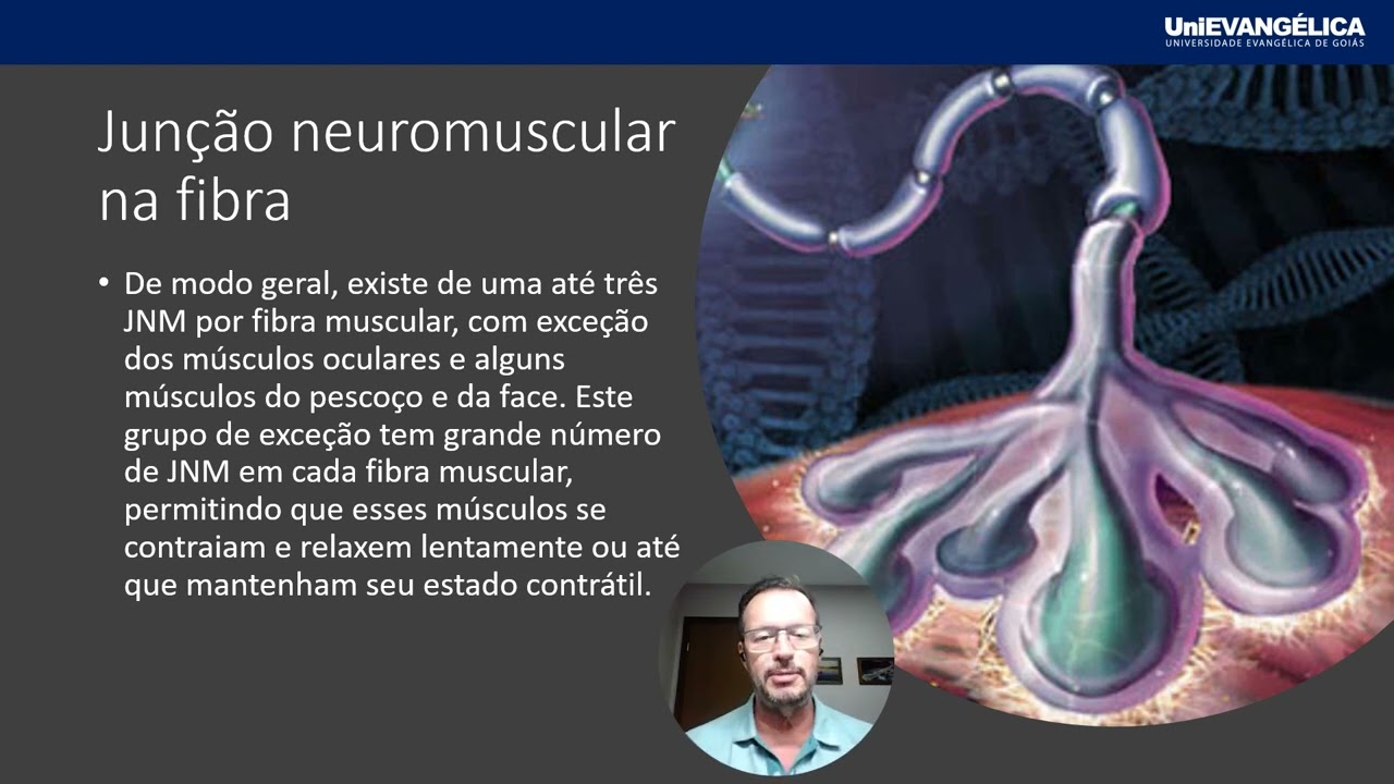 Vídeo aula Junção neuromuscular