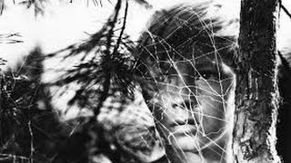 Dustin O'Halloran – Confrontations + Rain (Video)