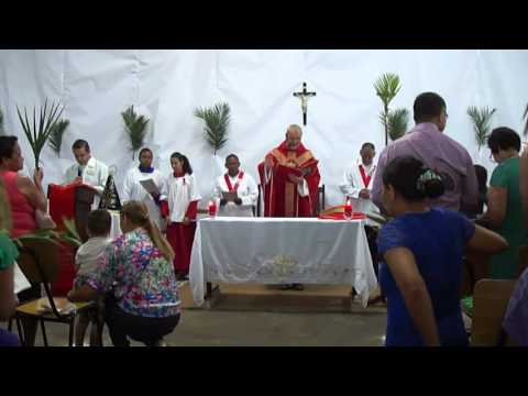 Homilia Pe. Félix 20/03/2016  Domingo de Ramos ano C