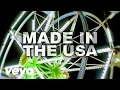 Demi Lovato - Made in the USA (Official Lyric Video ...