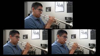 TILL EULENSPIEGELS LUSTIGE STREICHE - ELMER CHURAMPI/Trumpet excerpts