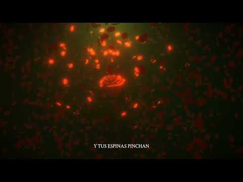 Recycled J - ROSAS FREESTYLE (Audio Oficial)