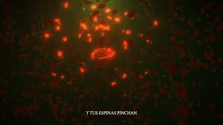 ROSAS FREESTYLE Lyrics English Translation
