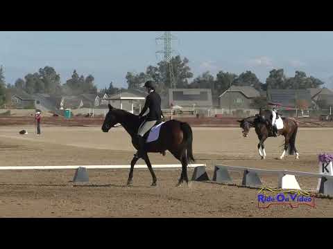 105D Madeline Rumer on Whiskey A Go Go Beginner Novice Dressage Ram Tap Nov. 2023