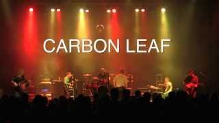 CARBON LEAF  -X RAY-