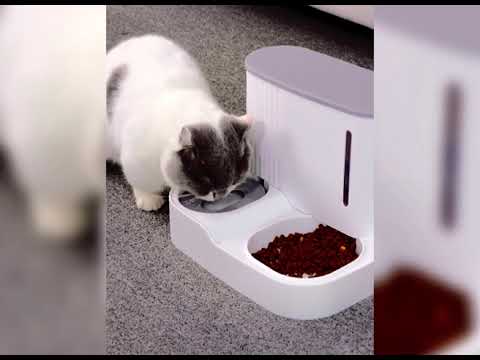 Автоматична годівниця для котів AMEIFU з поїлкою, Білий - фото 1 - id-p1451567594