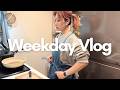 Vlog A Day In The Life Of A Freelance Working Mom Flu Prevention New Glasses Nighttime H