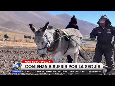 FUERTES VIENTOS EN YUNCHARÁ DAÑARON INVERNADEROS DE COPACABANA