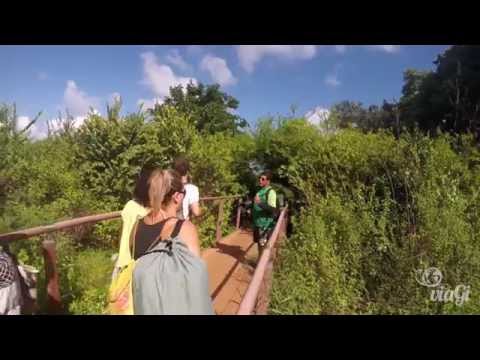 Fernando de Noronha: a esmeralda do Atlântico