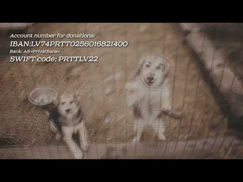 Reconstruction Of Animal Shelter in Latvia