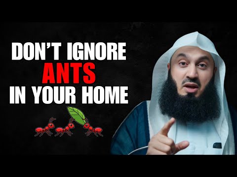 When Ants Appear in Your House | 6 Hidden Signs from Allah | Mufti Menk
