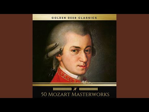 Piano Concerto No. 21 in C Major, K. 467: II. Andante
