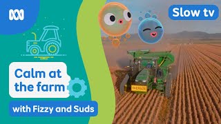 Relaxing tractor visuals for children's bedtime routine 🚜🫧 | Fizzy & Suds | ABC Kids