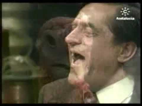 EL VAGAMUNDO - RISITAS, TITO TRIANA Y EL PAVO DE NAVIDAD