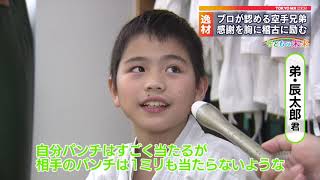 サンプル動画