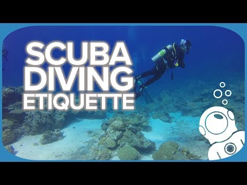 Scuba Diving Etiquette