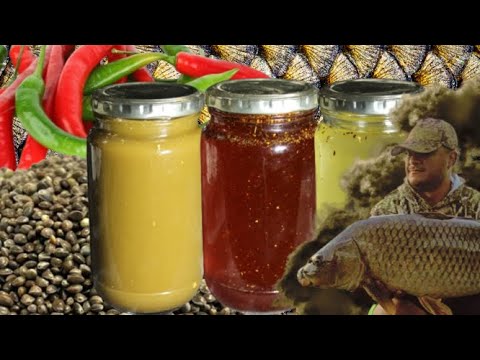 How to Make Home Made Hemp , Garlic and Chilly oil for targeting Big Carp and other Fish Species.