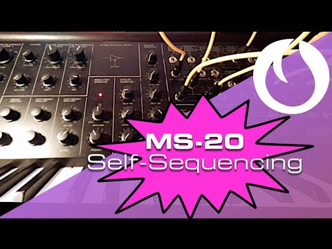 MS-20 Self-Sequencing (Late Night Tips)