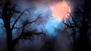 Psi com   Psi com theme