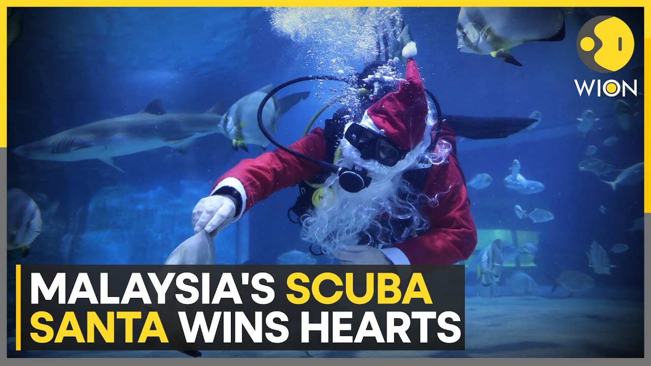 Malaysia’s Underwater Santa Attracts Festive Crowds | WION