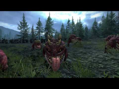 WOLF diplomatt at TW WARHAMMER ESL Cup #25