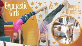 Gymnastic Girls and Doggie Olympics | Crazy8Family