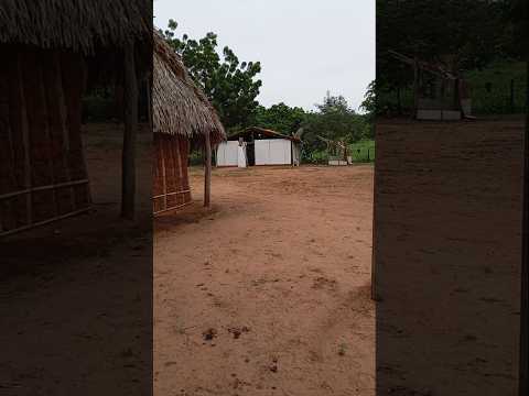 fazenda manqueira município de sítio novo do Maranhão