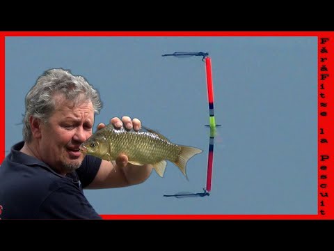 Cate KG PESCUIESC in 3 ore ? PESCUIT la PLUTĂ cu🌽