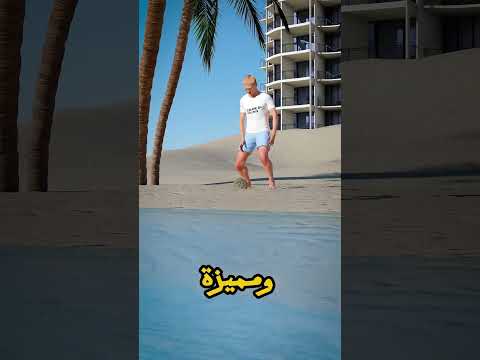 فضلات الحيتان اللي ممكن تخليك مليونير لو لقيتها على الشاطئ! 🐋💰
