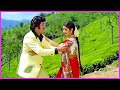 Krishna Sridevi Superhit Song Bangaru Koduku Movie Video Songs Telugu Video Songs HD
