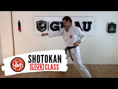 Shotokan Karate Blocking & Punching Drills Emphasizing Hip Movement LIVE Class thumbnail