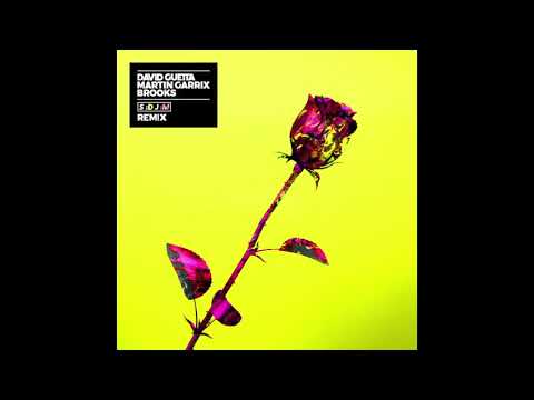 David Guetta, Martin Garrix & Brooks - Like I Do (SDJM Remix)