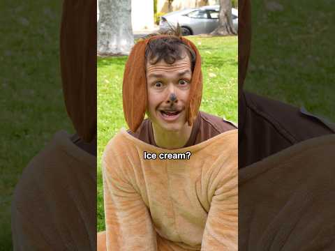 When someone calls you “dog” #shorts #funny #comedy #dog #dogs #pet #pets #puppy #humor