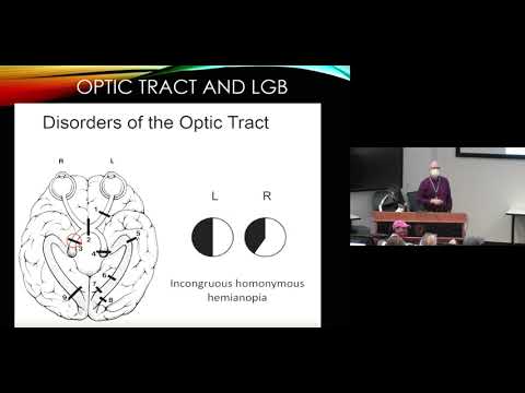 The Neurologic Examination, Part 2