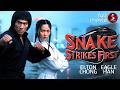 Snake Strikes Back 1980 MARTIAL ARTS Full Movie