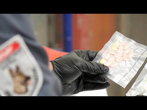 „Immer billiger, reiner und in größeren Mengen“: Sorgenkind Kokainhandel in Europa