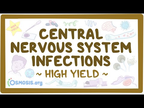 Central nervous system infections: Pathology review