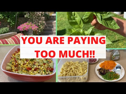 You Are Paying Too Much For These! Frugal Living! Summer Recipes!