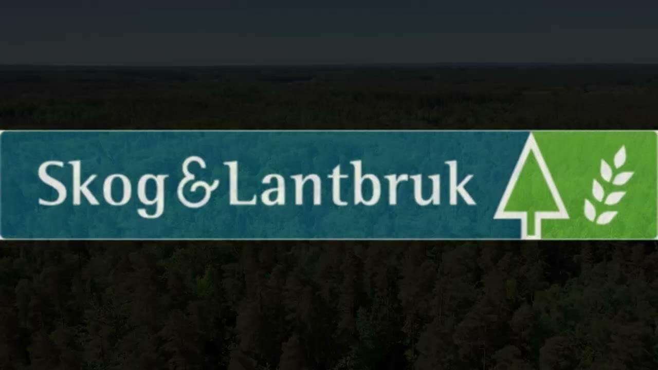 Gård/skog på Galthult 1:21 "A" Röke Hässleholms kommun - video