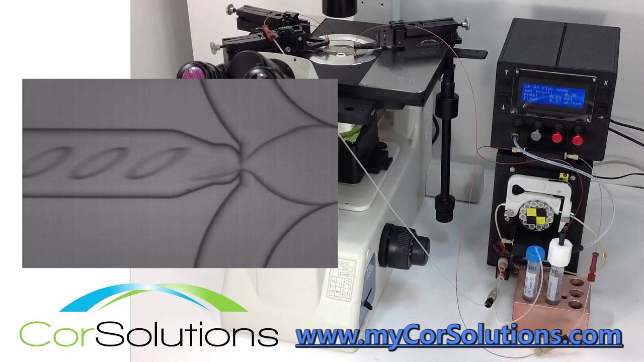 Uniform Droplet Generation with Pulseless Pumps (Focused Flow) - CorSolutions