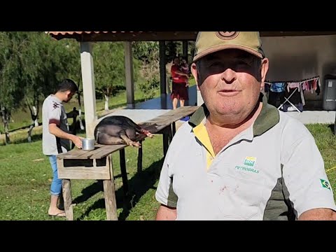 RIBEIRÃO BONITO SANTO ANTÔNIO DA PLATINA PR 🇧🇷 SÓ FESTA 👏👏👏#sitio #fazenda 