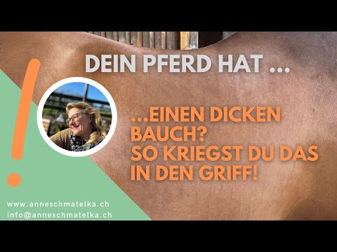 Does your horse have a big belly? | Here's how to get rid of it!