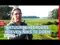 De bever is een kostenpost met voordelen | ROEG! | RTV Drenthe