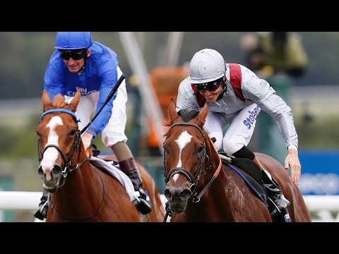 TORONADO wins the 2013 Qipco Sussex Stakes Gr.1